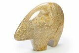 Polished Miocene Fossil Coral Bear - Philippines #311506-1